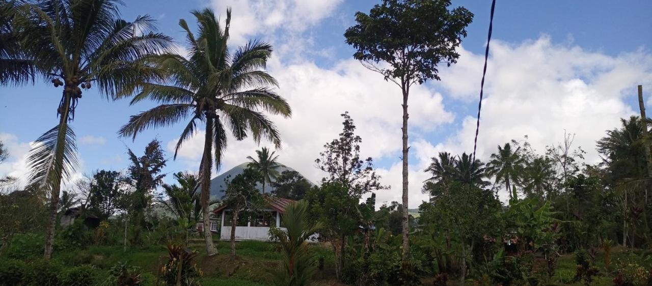 Talaga Tomohon Home Stay And Fishing Pond 外观 照片