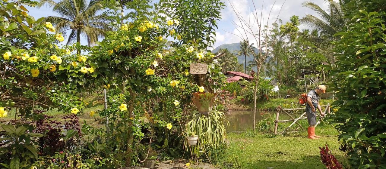 Talaga Tomohon Home Stay And Fishing Pond 外观 照片