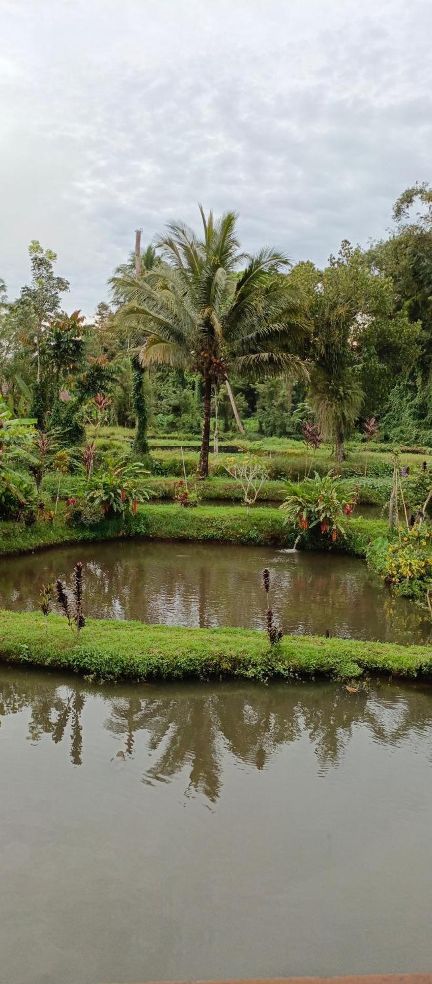 Talaga Tomohon Home Stay And Fishing Pond 外观 照片