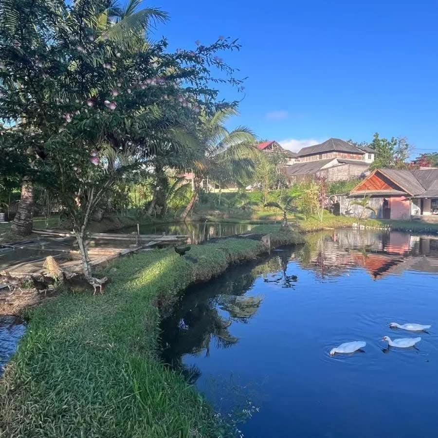 Talaga Tomohon Home Stay And Fishing Pond 外观 照片